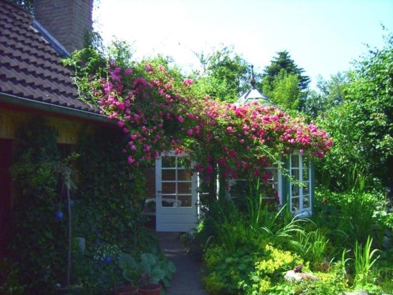 Ferienwohnung Diena - Unterkunft Mit Toller Ausstattung Und Zwei Terrassen Tarp Exterior foto